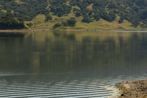 ripples cross lake