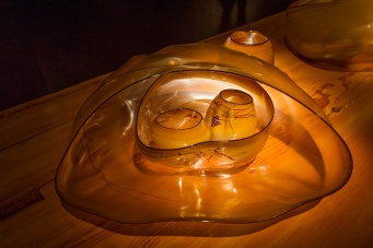 d chihuly 3