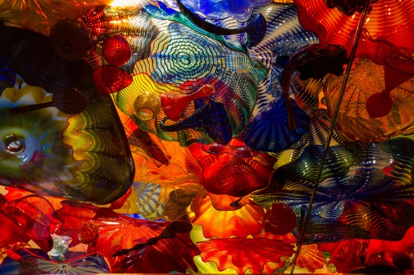 d chihuly ~d nelson