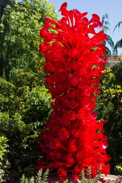 d chihuly 5
