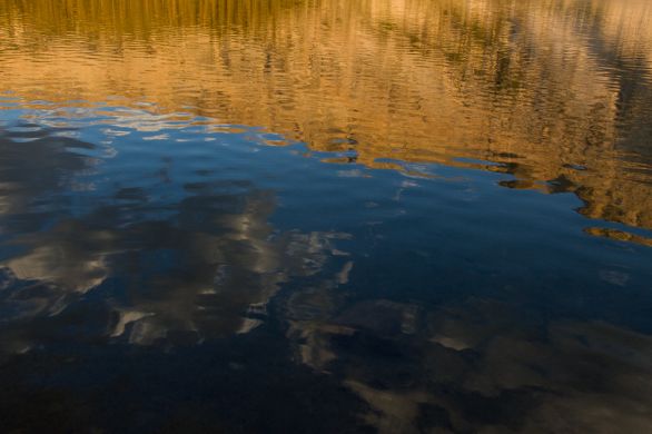 young lake reflection