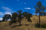 dry, undisturbed hillside