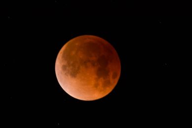 look-up! super blue blood lunar eclipse 2